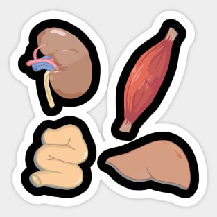 Inner organs Sticker